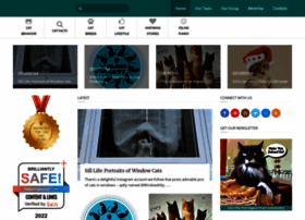 Thepurringtonpost.com thumbnail