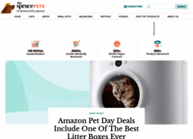 Thesprucepets.com thumbnail