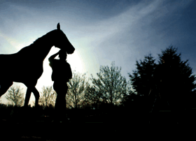 Thoroughbredfoundation.org thumbnail