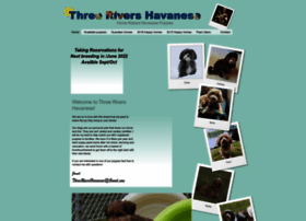 Threerivershavanese.com thumbnail