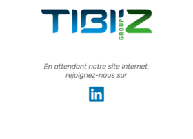 Tibiz-group.fr thumbnail