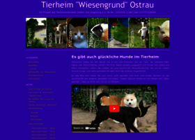 Tierheim-ostrau.de thumbnail
