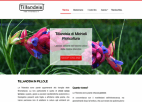 Tillandsia.it thumbnail