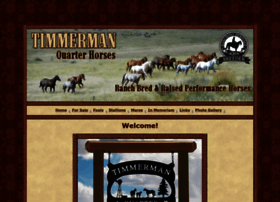 Timmermanquarterhorses.com thumbnail
