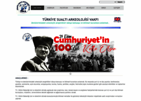Tinaturk.org thumbnail