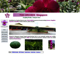 Tohorchids.com.sg thumbnail