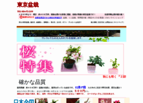 Tokyo-bonsai.com thumbnail