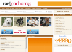 Topcachorros.com thumbnail