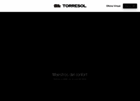 Torresolpiel.com thumbnail
