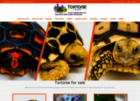 Tortoisetown.com thumbnail