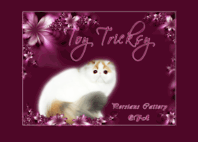 Toytricksy.com thumbnail