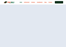 Transwells.com.br thumbnail Transwells.com.br thumbnail