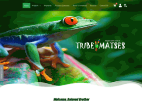 Tribematses.com thumbnail