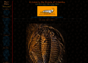 Trilobites.info thumbnail