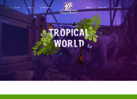 Tropicalworld.ie thumbnail