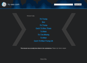 Try-seo.com thumbnail