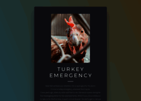 Turkeyemergency.com thumbnail