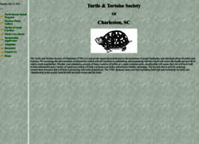 Turtlesanctum.org thumbnail