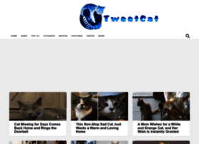 Tweetcat.net thumbnail