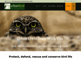Urbanbird.org thumbnail