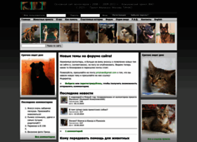 Vao-priut.org thumbnail
