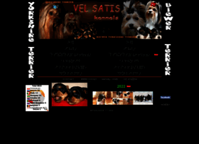 Velsatis-yorkshire.cz thumbnail