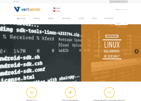 Veriteknik.com thumbnail