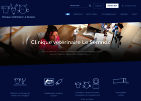 Veterinairelesemnoz.fr thumbnail