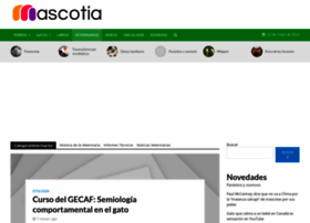 Veterinarios.mascotia.com thumbnail