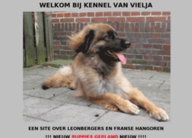 Vielja.nl thumbnail
