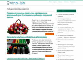 Vino-lab.ru thumbnail