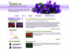 Violets.in thumbnail