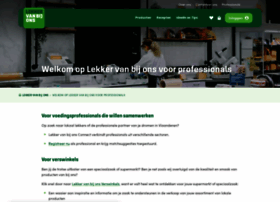 Visinfo.be thumbnail