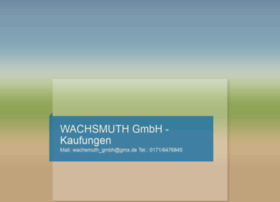 Wachsmuth.com thumbnail