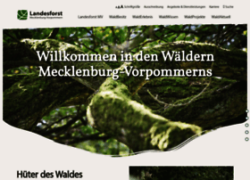 Wald-mv.de thumbnail