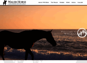 Walerhorses.org thumbnail