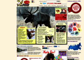 Walkservice.ru thumbnail Walkservice.ru thumbnail