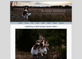Wallova.se thumbnail Wallova.se thumbnail