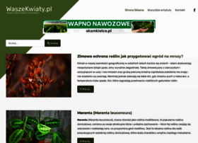 Waszekwiaty.pl thumbnail