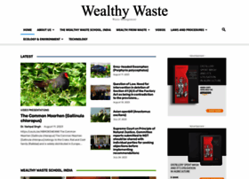 Wealthywaste.com thumbnail