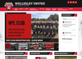 Wellesleysoccer.org thumbnail