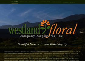 Westlandfloral.com thumbnail