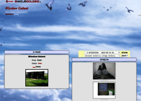 Wgalant.mojegolebie.pl thumbnail Wgalant.mojegolebie.pl thumbnail