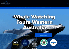 Whales-australia.com.au thumbnail