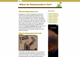 Whatdosalamanderseat.info thumbnail Whatdosalamanderseat.info thumbnail
