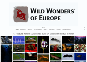 Wild-wonders.com thumbnail