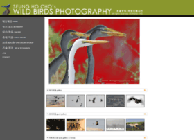 Wildbirdsphoto.com thumbnail