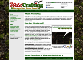 Wildcrafting.net thumbnail