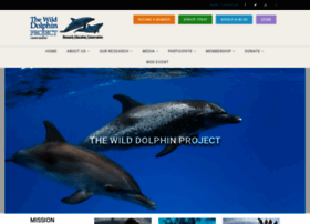 Wilddolphinproject.org thumbnail