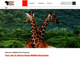 Wildnetafrica.com thumbnail